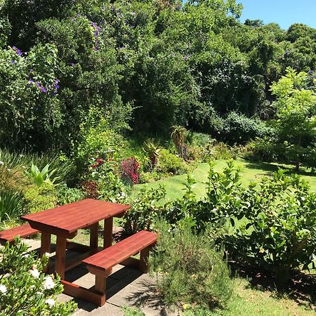 Loeriewood Garden Apartment, Hunters Home Knysna Kültér fotó