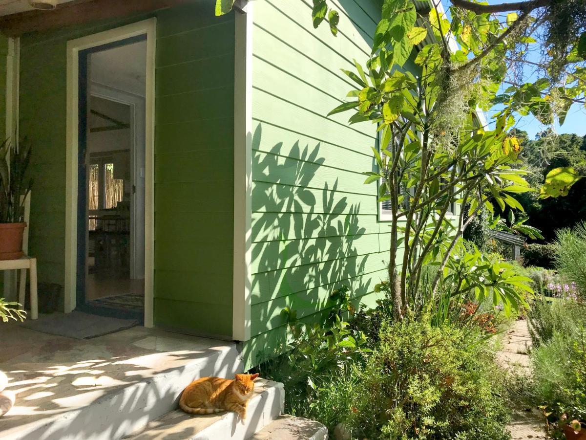 Loeriewood Garden Apartment, Hunters Home Knysna Kültér fotó